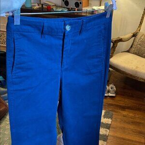 J. Crew Women's Deep Blue Trousers